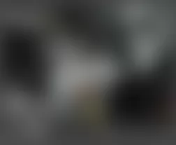 Mercedes-Benz CLS500 2006 - Component Locations - Left Side Of Trunk