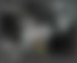 Mercedes-Benz CLS500 2006 - Component Locations - Left Side Of Trunk