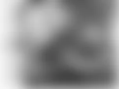 Mercedes-Benz CLS500 2006 - Component Locations - Top Front Of Engine (M113)