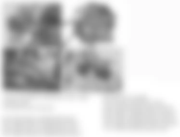 Mercedes-Benz CLS500 2006 - Component Locations - Front Of Engine (M273)