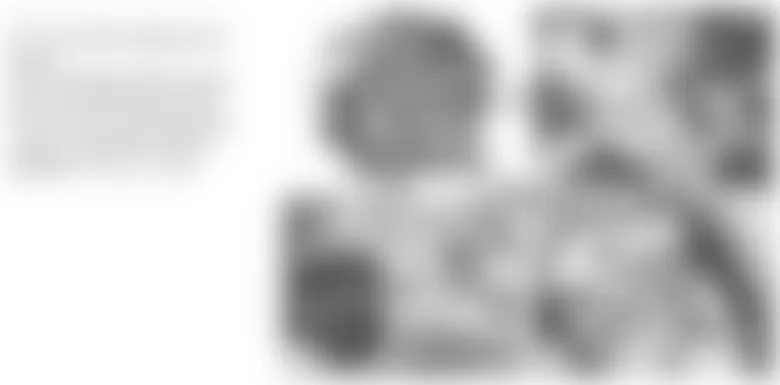 Mercedes-Benz CLS500 2006 - Component Locations - Left Side Of Engine (M273)