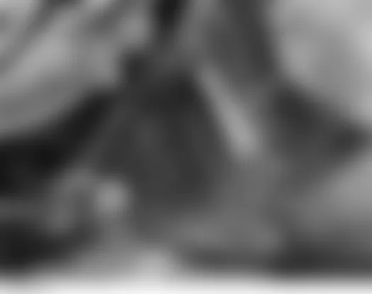 Mercedes-Benz C280 4Matic 2007 - Component Locations -  Right Front Underside Of Vehicle