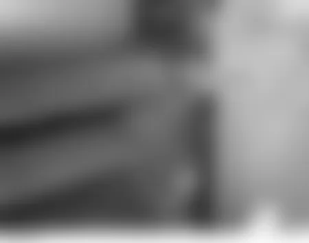 Mercedes-Benz C350 4Matic 2007 - Component Locations - Behind Right Side Of Dash