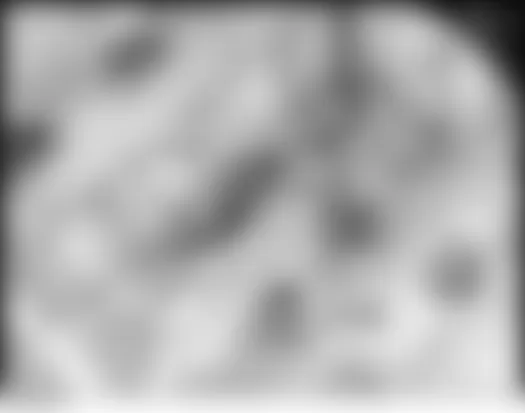 Mercedes-Benz C350 4Matic 2007 - Component Locations - Top Of Engine (M272)