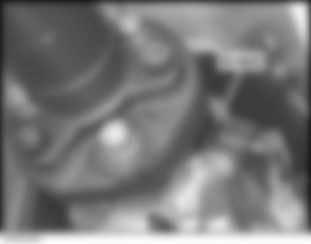 Mercedes-Benz C350 4Matic 2007 - Component Locations - Right Rear Of Manual Transmission