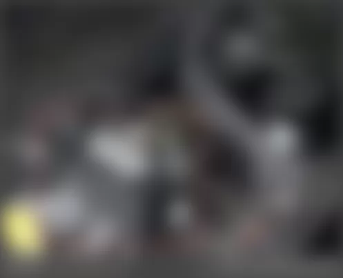 Mercedes-Benz C350 4Matic 2007 - Component Locations - Left Front Of Engine Compartment