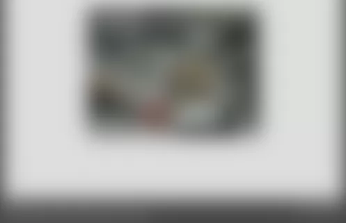 Mercedes-Benz C350 4Matic 2007 - Component Locations - Right Side Of Trunk