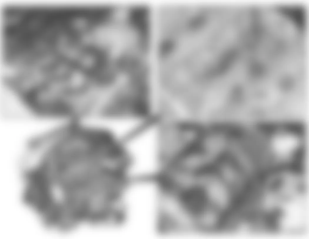 Mercedes-Benz CL550 2007 - Component Locations - Top & Left Side Of Engine (V8)