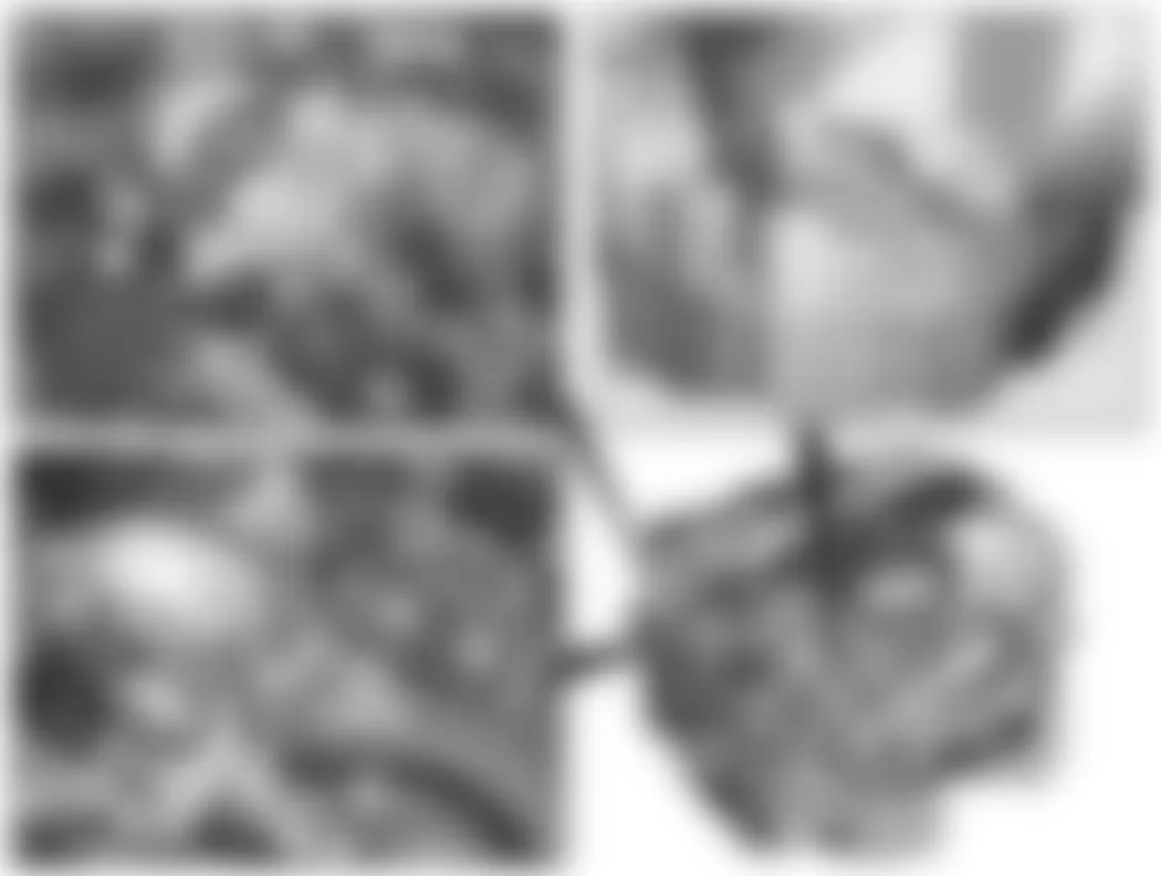 Mercedes-Benz CL550 2007 - Component Locations - Top Front Of Engine (V12)