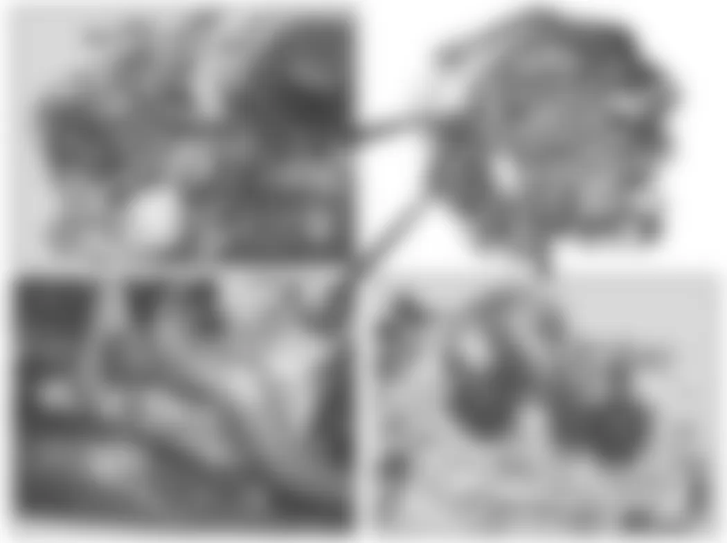 Mercedes-Benz CL600 2007 - Component Locations - Front Of Engine (V8)