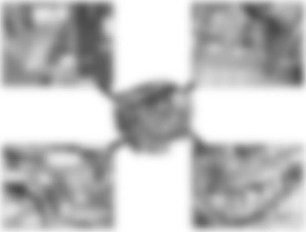 Mercedes-Benz CL600 2007 - Component Locations - Engine (V12)