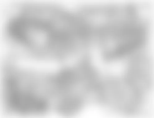 Mercedes-Benz CLK350 2007 - Component Locations - Engine (M113)