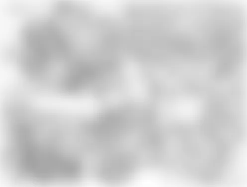 Mercedes-Benz CLK63 2007 - Component Locations - Engine (M112)