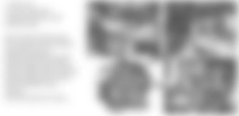 Mercedes-Benz CLS63 2007 - Component Locations -  Top Of Engine (M273)