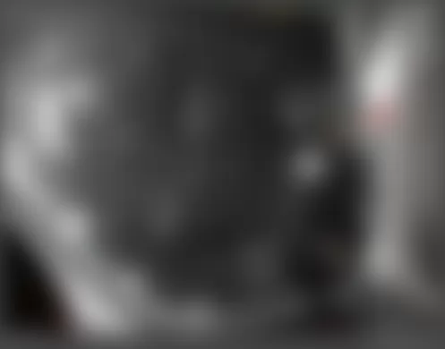 Mercedes-Benz E63 2007 - Component Locations - Left Rear Door