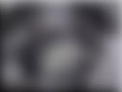Mercedes-Benz G500 2007 - Component Locations -  Steering Wheel