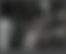 Mercedes-Benz ML320 2007 - Component Locations - Behind Right Side Of Front Bumper