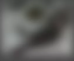 Mercedes-Benz ML320 2007 - Component Locations - Under 2nd Row Seats