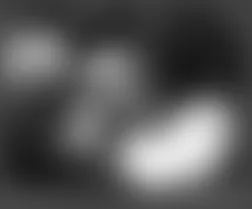 Mercedes-Benz ML320 2007 - Component Locations - Under Right Front Of Vehicle