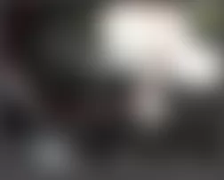 Mercedes-Benz ML320 2007 - Component Locations - Left Rear Of Engine Compartment