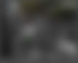 Mercedes-Benz ML320 2007 - Component Locations - Steering Wheel