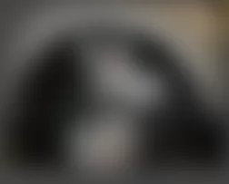 Mercedes-Benz ML320 2007 - Component Locations - Right Front Wheelwell