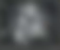 Mercedes-Benz ML320 2007 - Component Locations - Top Of Engine (M642)