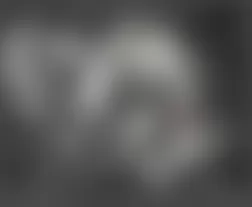 Mercedes-Benz ML320 2007 - Component Locations - Left Front Of Engine (M642)