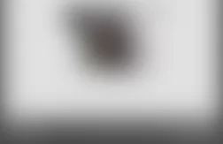 Mercedes-Benz ML63 2007 - Component Locations - Right Rear Of Cargo Area