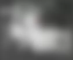 Mercedes-Benz ML63 2007 - Component Locations - In Right Front Wheelwell