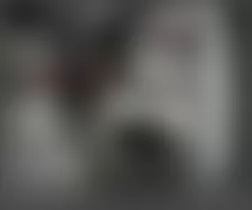 Mercedes-Benz ML63 2007 - Component Locations - Right Side Of Cargo Area