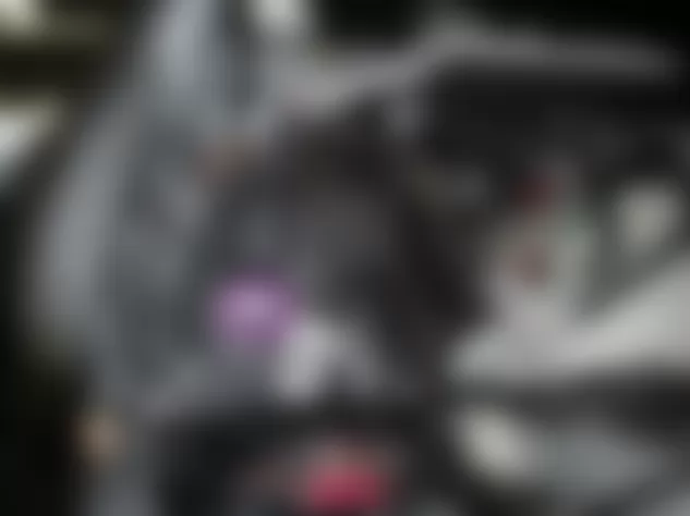 Mercedes-Benz R320 2007 - Component Locations - Left Side Of Cargo Area