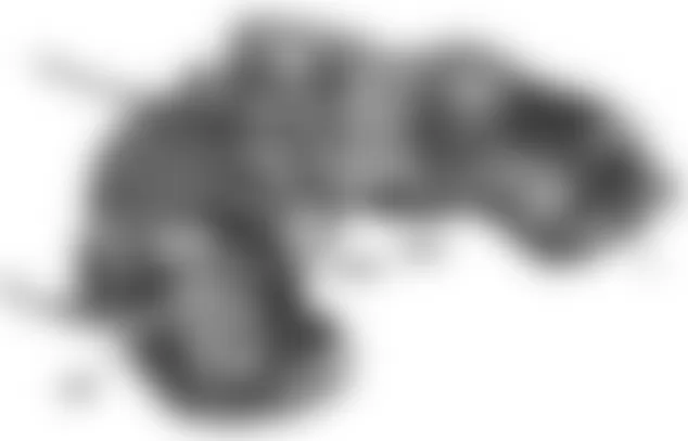 Mercedes-Benz R63 2007 - Component Locations - Fuel Tank