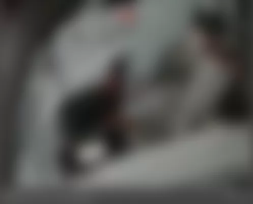 Mercedes-Benz S550 2007 - Component Locations -  Left Side Of Trunk