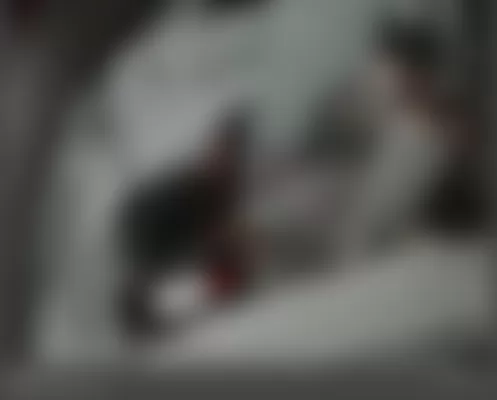 Mercedes-Benz S550 2007 - Component Locations -  Left Side Of Trunk