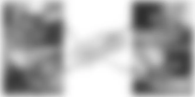 Mercedes-Benz SL65 2007 - Component Locations - Vehicle Underside