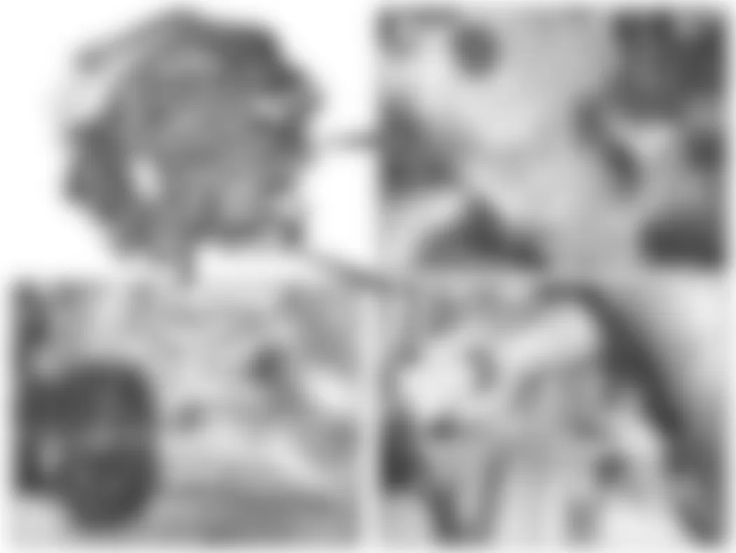 Mercedes-Benz CL600 2008 - Component Locations -  Left Side Of Engine (5.5L V8)