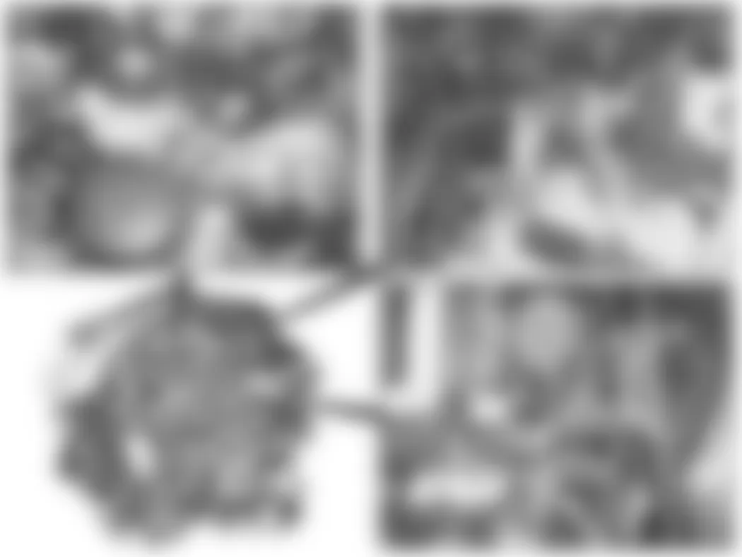 Mercedes-Benz CL600 2008 - Component Locations -  Top & Left Side Of Engine (V8)