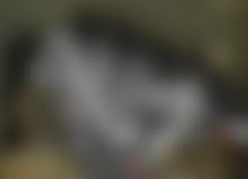 Mercedes-Benz CL600 2008 - Component Locations -  Intake Manifold (5.5L)