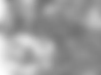 Mercedes-Benz CL600 2008 - Component Locations -  Front Of Engine (6.2L V8)