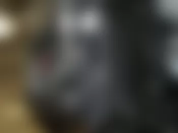 Mercedes-Benz CL600 2008 - Component Locations -  Left Front Wheelwell