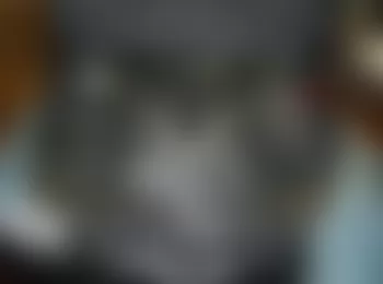 Mercedes-Benz CL600 2008 - Component Locations -  Engine Compartment (V12)