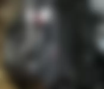 Mercedes-Benz CL600 2008 - Component Locations -  Left Front Wheelhouse