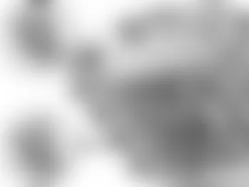 Mercedes-Benz CL600 2008 - Component Locations -  Intake Manifold (6.2L V8)