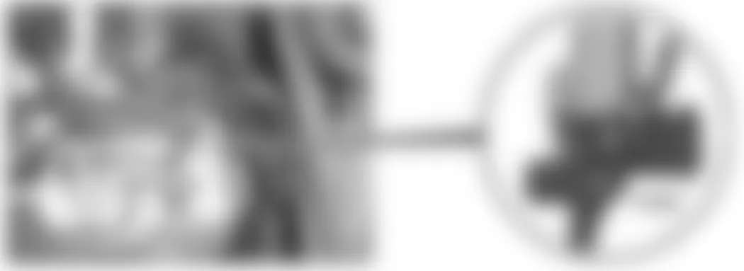 Mercedes-Benz CL65 2008 - Component Locations -  Rear Of Engine