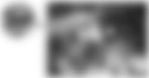 Mercedes-Benz E550 2008 - Component Locations -  Rear Of Engine (M642)