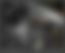 Mercedes-Benz ML350 2008 - Component Locations -  Left Side Of Engine Compartment