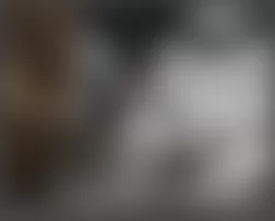 Mercedes-Benz ML350 2008 - Component Locations -  Under Front Of Vehicle