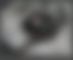 Mercedes-Benz ML550 2008 - Component Locations - Under Left Seat Of 2nd Seat Row