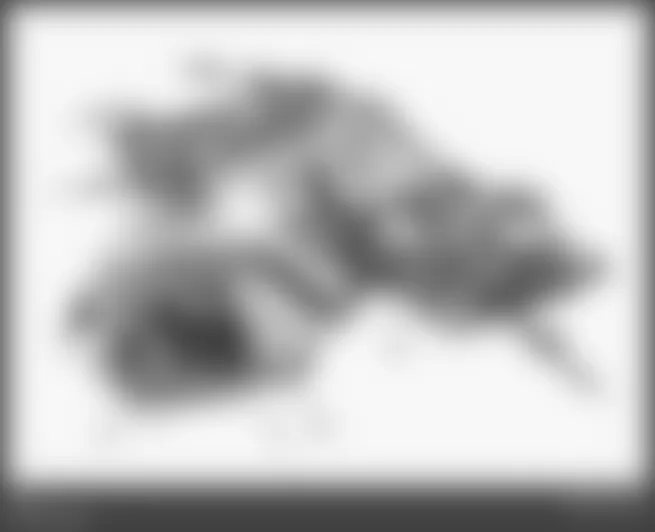 Mercedes-Benz S63 2008 - Component Locations -  Identifying Fuel Pump